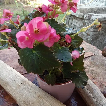 Casa Etna Guest house